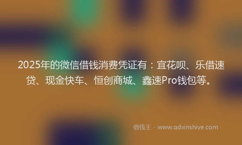 2025年的微信借钱消费凭证有：宜花呗、乐借速贷、现金快车、恒创商城、鑫速Pro钱包等。