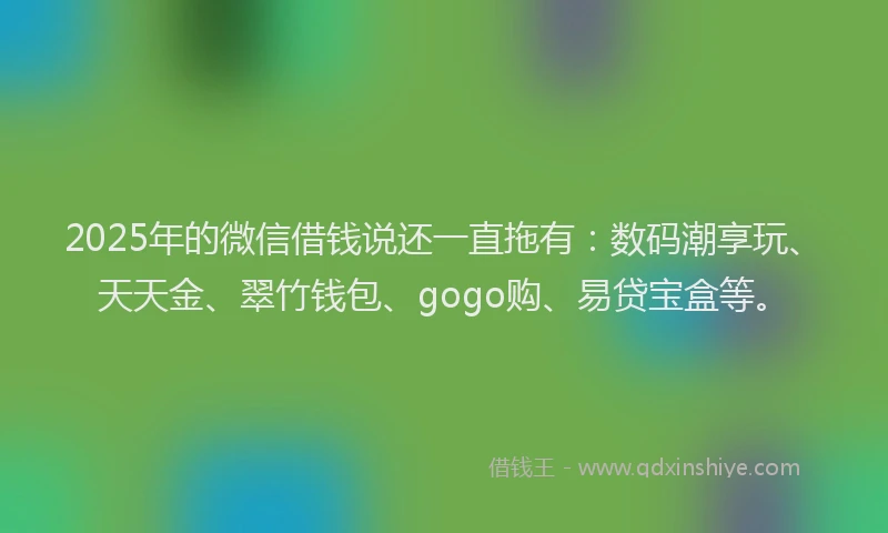 2025年的微信借钱说还一直拖有：数码潮享玩、天天金、翠竹钱包、gogo购、易贷宝盒等。