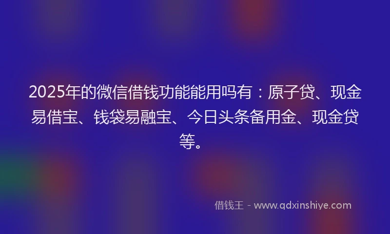 2025年的微信借钱功能能用吗有：原子贷、现金易借宝、钱袋易融宝、今日头条备用金、现金贷等。