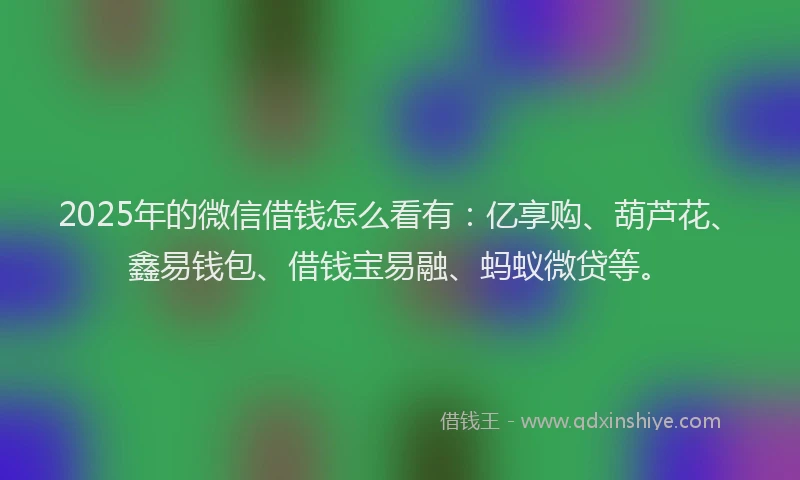 2025年的微信借钱怎么看有：亿享购、葫芦花、鑫易钱包、借钱宝易融、蚂蚁微贷等。