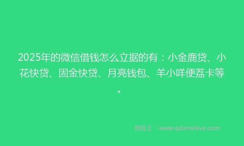 2025年的微信借钱怎么立据的有：小金鹿贷、小花快贷、固金快贷、月亮钱包、羊小咩便荔卡等。