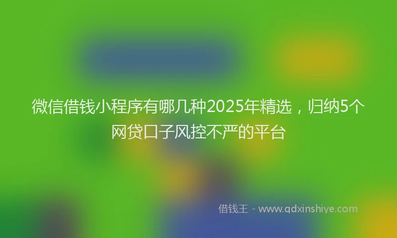 微信借钱小程序有哪几种2025年精选，归纳5个网贷口子风控不严的平台