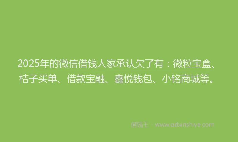 2025年的微信借钱人家承认欠了有：微粒宝盒、桔子买单、借款宝融、鑫悦钱包、小铭商城等。