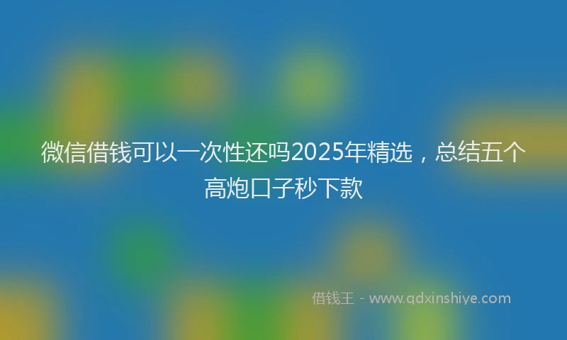 微信借钱可以一次性还吗2025年精选，总结五个高炮口子秒下款