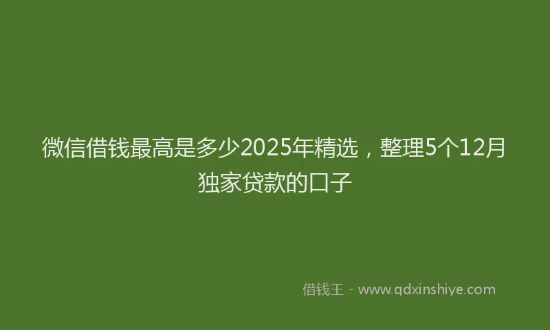 微信借钱最高是多少2025年精选，整理5个12月独家贷款的口子