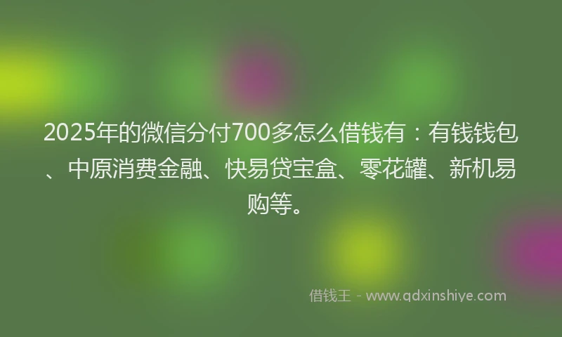 2025年的微信分付700多怎么借钱有：有钱钱包、中原消费金融、快易贷宝盒、零花罐、新机易购等。