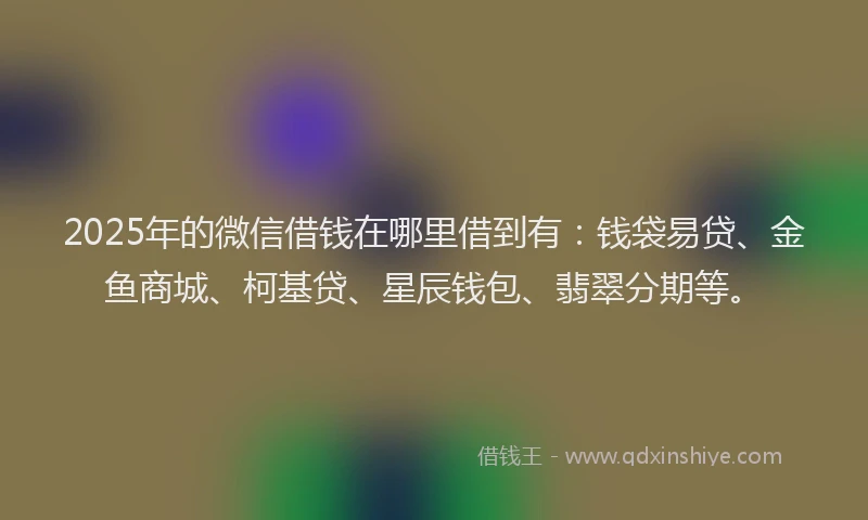 2025年的微信借钱在哪里借到有：钱袋易贷、金鱼商城、柯基贷、星辰钱包、翡翠分期等。