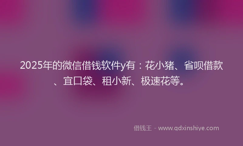 2025年的微信借钱软件y有：花小猪、省呗借款、宜口袋、租小新、极速花等。