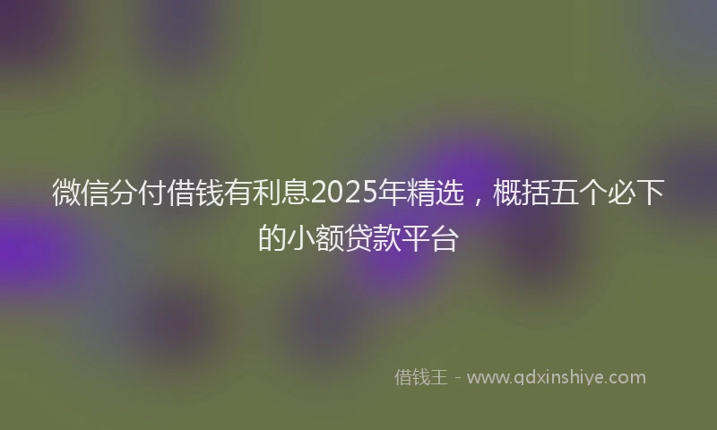 微信分付借钱有利息2025年精选，概括五个必下的小额贷款平台