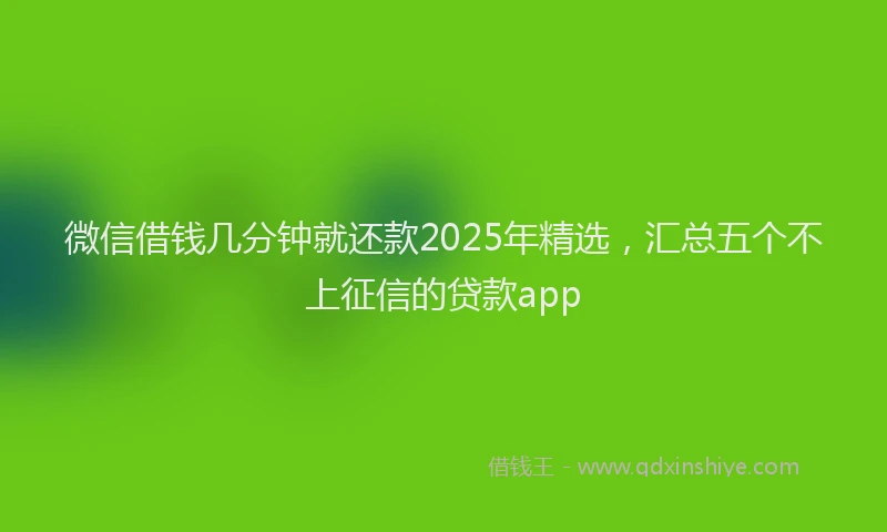 微信借钱几分钟就还款2025年精选，汇总五个不上征信的贷款app