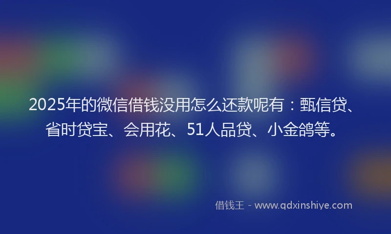 2025年的微信借钱没用怎么还款呢有：甄信贷、省时贷宝、会用花、51人品贷、小金鸽等。