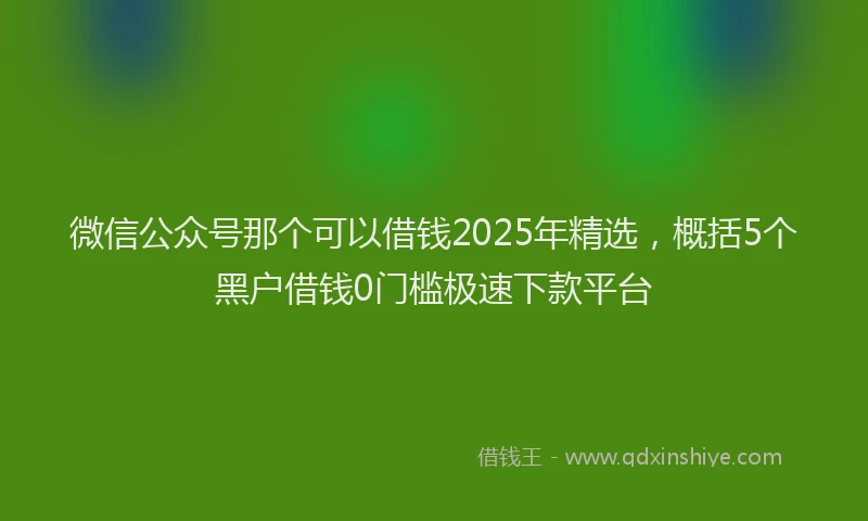 微信公众号那个可以借钱2025年精选，概括5个黑户借钱0门槛极速下款平台