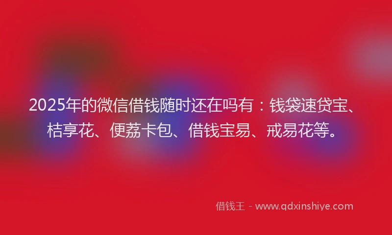 2025年的微信借钱随时还在吗有：钱袋速贷宝、桔享花、便荔卡包、借钱宝易、戒易花等。