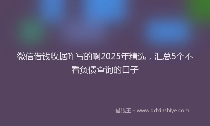 微信借钱收据咋写的啊2025年精选，汇总5个不看负债查询的口子