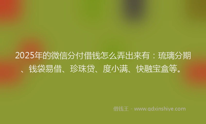 2025年的微信分付借钱怎么弄出来有：琉璃分期、钱袋易借、珍珠贷、度小满、快融宝盒等。