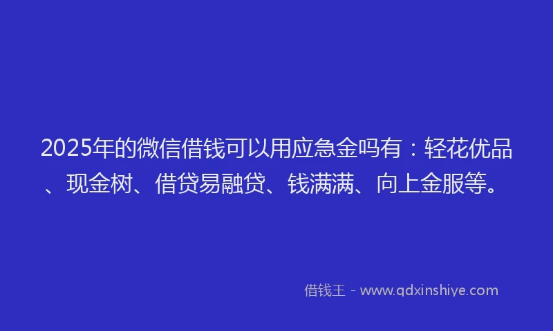 2025年的微信借钱可以用应急金吗有：轻花优品、现金树、借贷易融贷、钱满满、向上金服等。