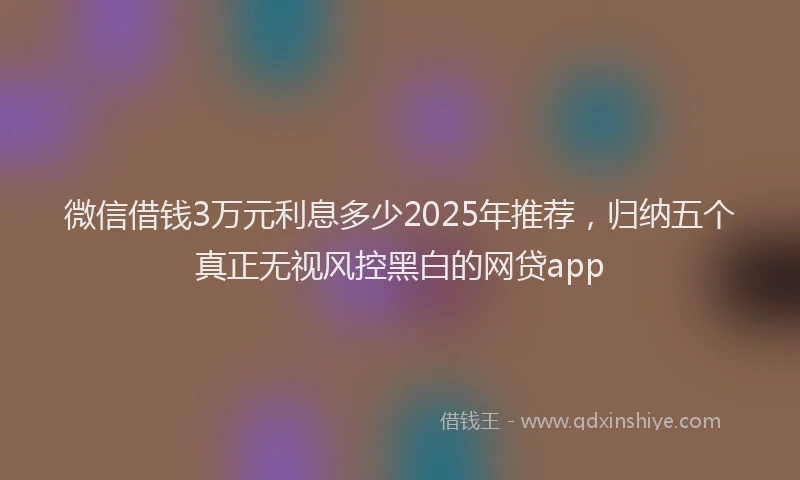 微信借钱3万元利息多少2025年推荐，归纳五个真正无视风控黑白的网贷app