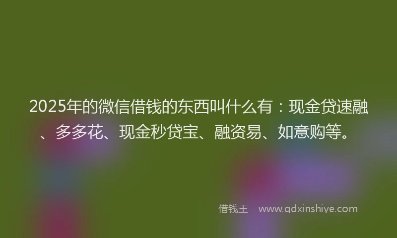 2025年的微信借钱的东西叫什么有：现金贷速融、多多花、现金秒贷宝、融资易、如意购等。