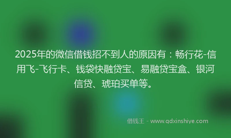 2025年的微信借钱招不到人的原因有：畅行花-信用飞-飞行卡、钱袋快融贷宝、易融贷宝盒、银河信贷、琥珀买单等。