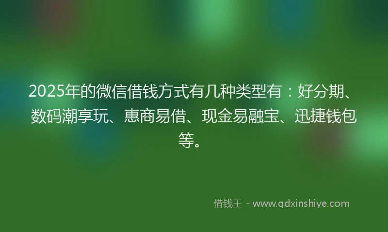 2025年的微信借钱方式有几种类型有：好分期、数码潮享玩、惠商易借、现金易融宝、迅捷钱包等。