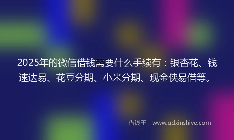 2025年的微信借钱需要什么手续有：银杏花、钱速达易、花豆分期、小米分期、现金侠易借等。