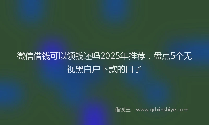 微信借钱可以领钱还吗2025年推荐，盘点5个无视黑白户下款的口子