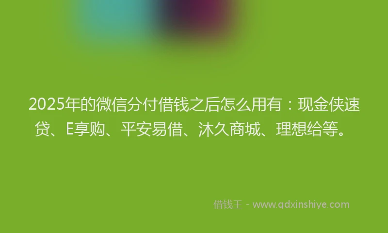 2025年的微信分付借钱之后怎么用有：现金侠速贷、E享购、平安易借、沐久商城、理想给等。