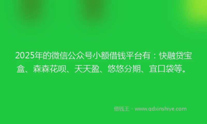 2025年的微信公众号小额借钱平台有：快融贷宝盒、森森花呗、天天盈、悠悠分期、宜口袋等。
