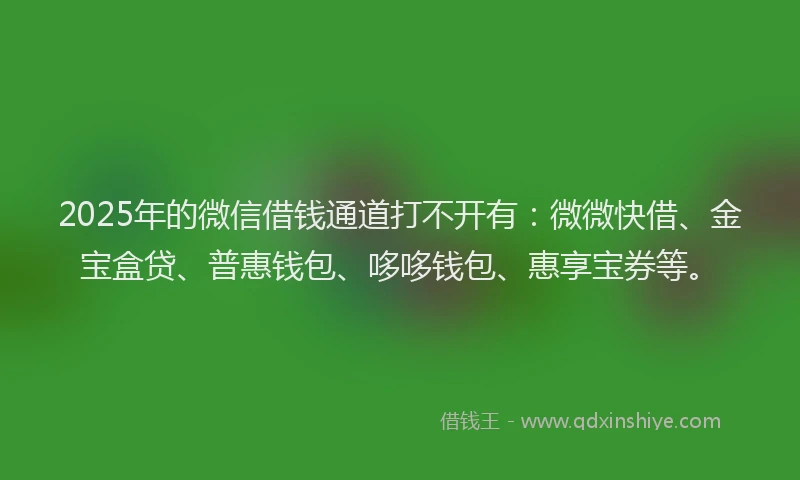 2025年的微信借钱通道打不开有：微微快借、金宝盒贷、普惠钱包、哆哆钱包、惠享宝券等。