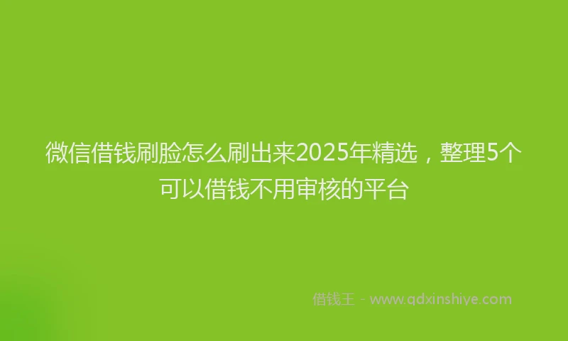 微信借钱刷脸怎么刷出来2025年精选，整理5个可以借钱不用审核的平台