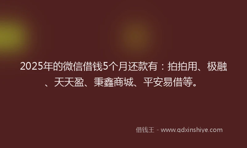 2025年的微信借钱5个月还款有：拍拍用、极融、天天盈、秉鑫商城、平安易借等。