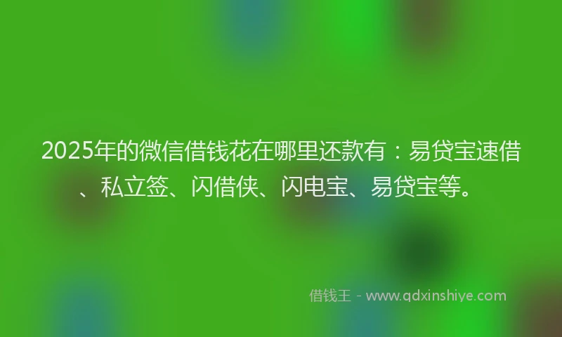 2025年的微信借钱花在哪里还款有：易贷宝速借、私立签、闪借侠、闪电宝、易贷宝等。