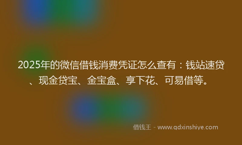 2025年的微信借钱消费凭证怎么查有：钱站速贷、现金贷宝、金宝盒、享下花、可易借等。