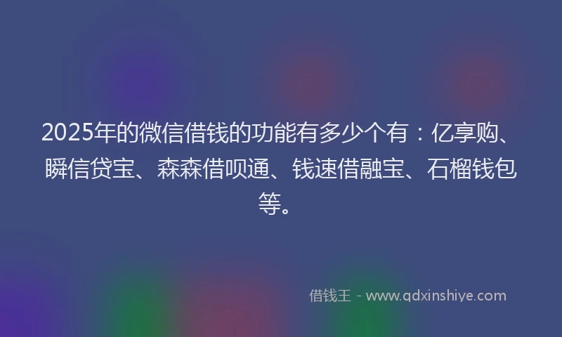 2025年的微信借钱的功能有多少个有：亿享购、瞬信贷宝、森森借呗通、钱速借融宝、石榴钱包等。