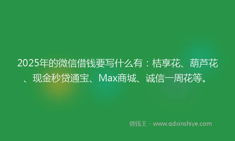 2025年的微信借钱要写什么有：桔享花、葫芦花、现金秒贷通宝、Max商城、诚信一周花等。