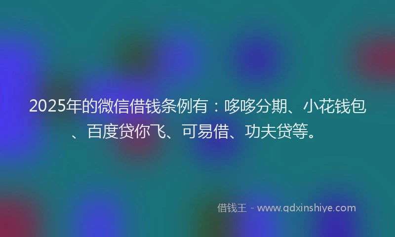 2025年的微信借钱条例有：哆哆分期、小花钱包、百度贷你飞、可易借、功夫贷等。