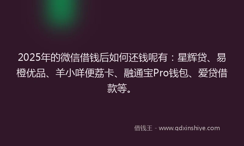 2025年的微信借钱后如何还钱呢有：星辉贷、易橙优品、羊小咩便荔卡、融通宝Pro钱包、爱贷借款等。
