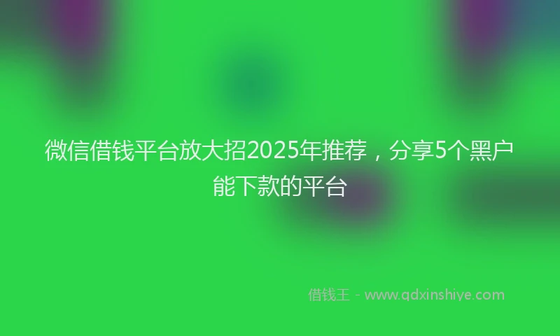 微信借钱平台放大招2025年推荐，分享5个黑户能下款的平台