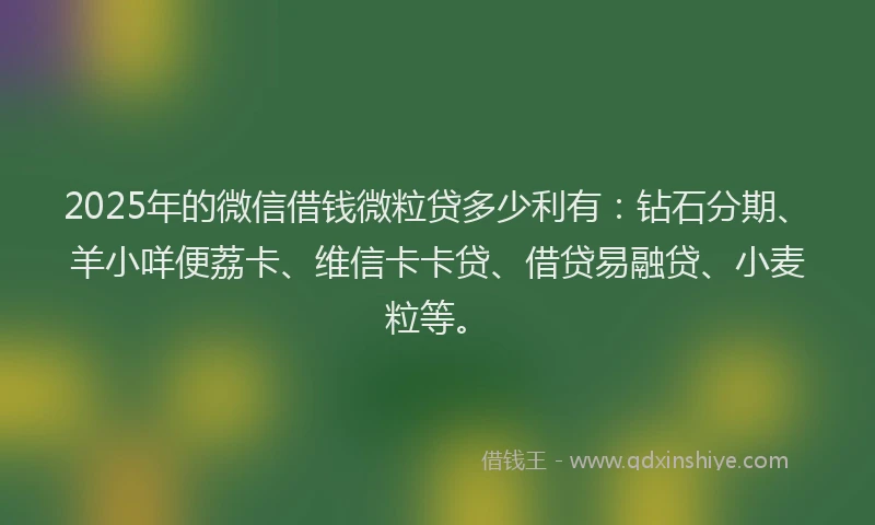 2025年的微信借钱微粒贷多少利有：钻石分期、羊小咩便荔卡、维信卡卡贷、借贷易融贷、小麦粒等。