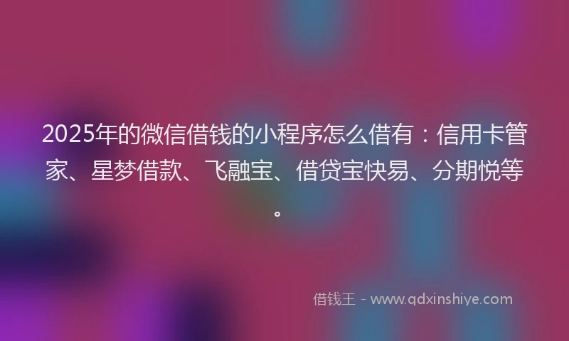 2025年的微信借钱的小程序怎么借有：信用卡管家、星梦借款、飞融宝、借贷宝快易、分期悦等。