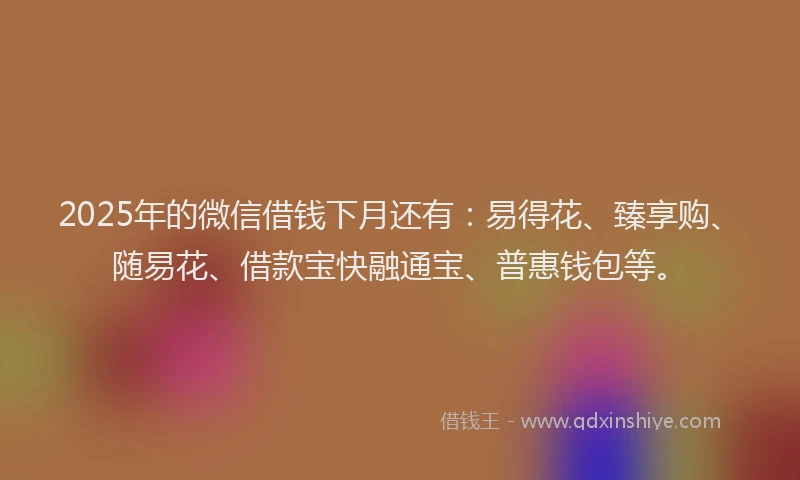 2025年的微信借钱下月还有：易得花、臻享购、随易花、借款宝快融通宝、普惠钱包等。