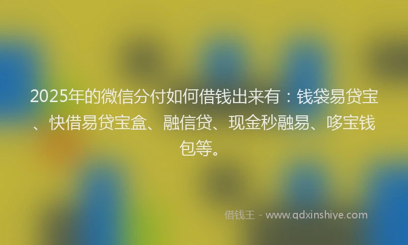 2025年的微信分付如何借钱出来有：钱袋易贷宝、快借易贷宝盒、融信贷、现金秒融易、哆宝钱包等。
