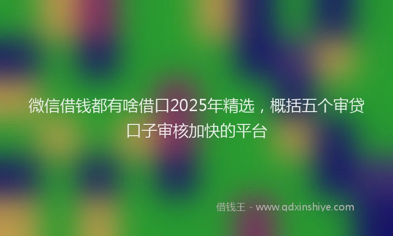 微信借钱都有啥借口2025年精选，概括五个审贷口子审核加快的平台