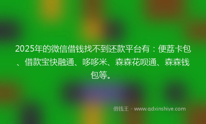 2025年的微信借钱找不到还款平台有：便荔卡包、借款宝快融通、哆哆米、森森花呗通、森森钱包等。