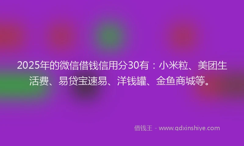 2025年的微信借钱信用分30有：小米粒、美团生活费、易贷宝速易、洋钱罐、金鱼商城等。