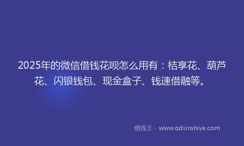 2025年的微信借钱花呗怎么用有：桔享花、葫芦花、闪银钱包、现金盒子、钱速借融等。