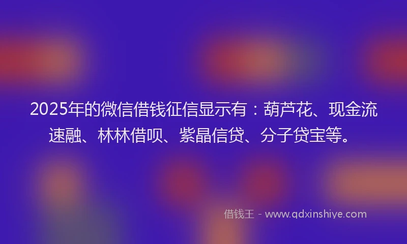 2025年的微信借钱征信显示有：葫芦花、现金流速融、林林借呗、紫晶信贷、分子贷宝等。