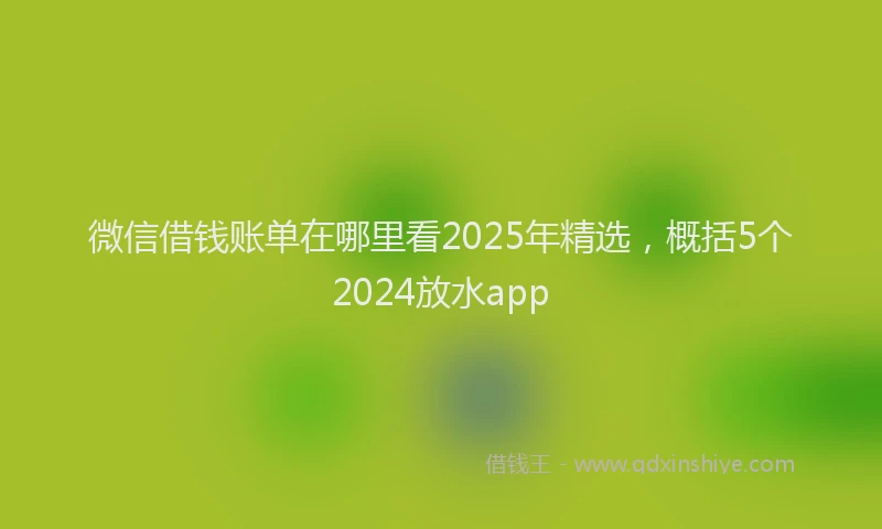 微信借钱账单在哪里看2025年精选，概括5个2024放水app