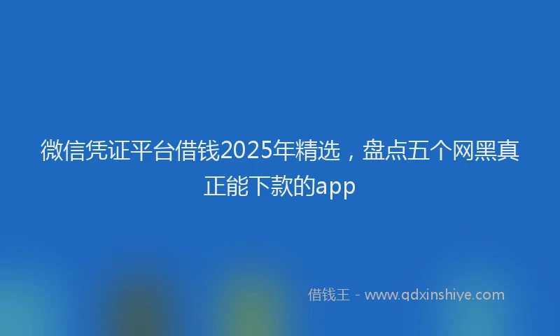微信凭证平台借钱2025年精选，盘点五个网黑真正能下款的app