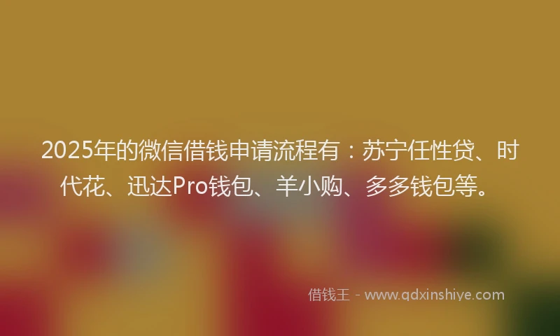 2025年的微信借钱申请流程有：苏宁任性贷、时代花、迅达Pro钱包、羊小购、多多钱包等。